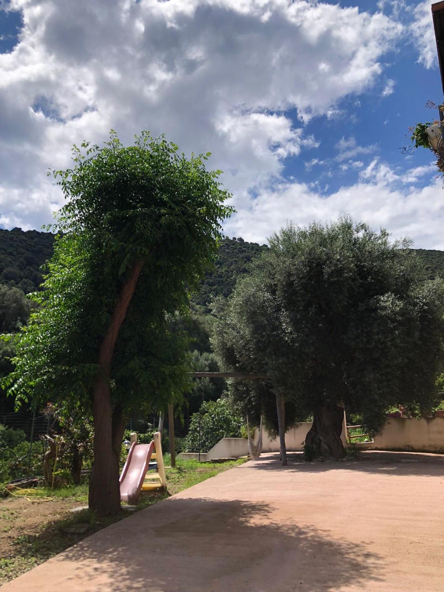 Appartamento MareMontagna Cardedu Esterno foto