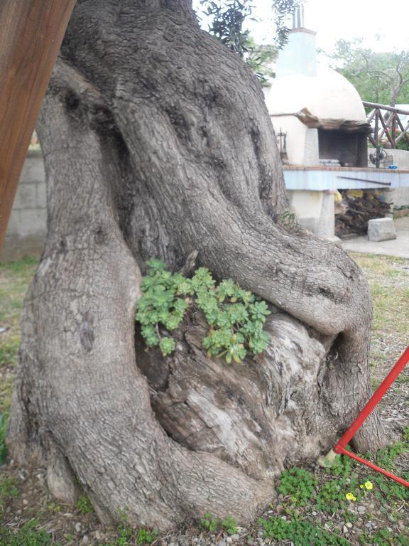 Appartamento MareMontagna Cardedu Esterno foto